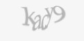 Защитный код