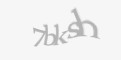 Защитный код