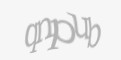Защитный код