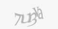 Защитный код